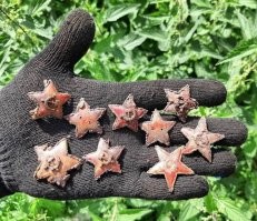 Каждая звездочка - прерванная жизнь... 

 По своей добровольной воле ты здесь оказался или по предписанию?..
 Молод был или седой старик?
 Хлебороб ли  - инженер?
 Все тут...
 И нет смайлика, что бы выразить печаль по ВАМ...