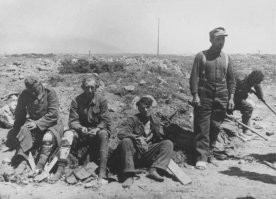 13-го мая 1944 года. Севастополь. Раненые немцы и румыны в районе 35-й батареи.