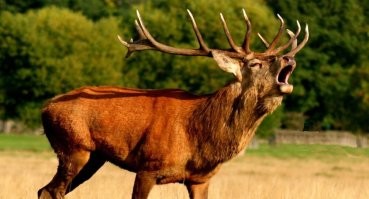 Выход из френдзоны существует - парень это доказал