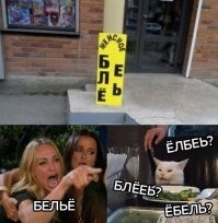 Мемы с осуждающим котиком, которые рассмешат любого