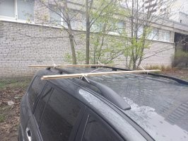 Автовсячина