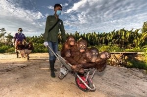 Едем едем в соседнее селооо...
На дискотеку....