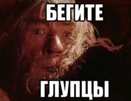 Змеелов рассказал австралийцам, что они в доме вовсе не одни