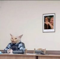 Мемы с осуждающим котиком, которые рассмешат любого