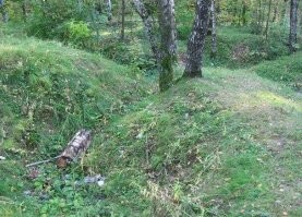 Москва, Битцевский лесопарк рядом с моим домом. Бетонный пулемётный колпак и зарастающие окопы.