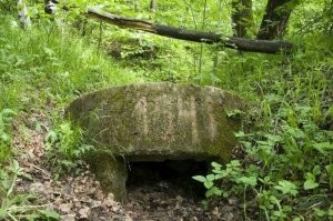 Москва, Битцевский лесопарк рядом с моим домом. Бетонный пулемётный колпак и зарастающие окопы.