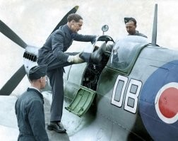 чем хвостом рулил?