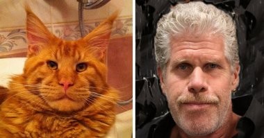 А как же Рон Перлман?