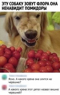 Смешные и познавательные картинки