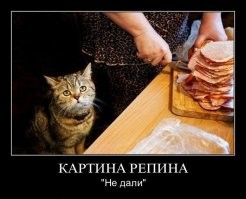 Смешные и познавательные картинки
