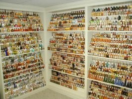 не увидел главной коллекции