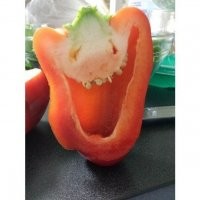 Паприкают!