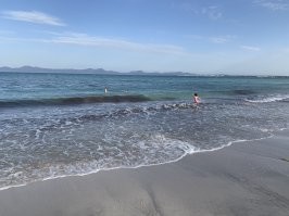 Это мои моржи :) вода +20 а мне лень в нее лезть :)