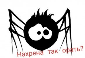 Смешные и познавательные картинки