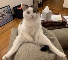 - Ну, давай рассказывай - что значит ВЫ тут живёте?!