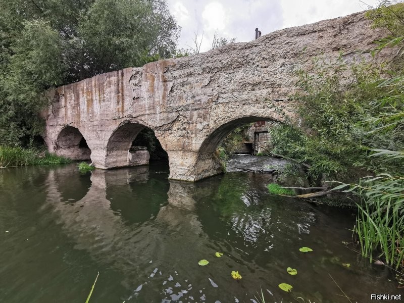 В Липецкой области в с. Троекурово есть заброшенная ГЭС. Построена, да и сейчас стоит, на берегу реки Красивая Меча, которая в свое время стала для нее идеальным местом для строительства.

Гидроэлектростанция была построена достаточно быстро - всего за год, в строительстве принимали участие местные жители. Торжественное открытие состоялось 22 июля 1953 года.

В качестве основного гидротехнического оборудования было использовано 4 горизонтальных гидроагрегата. Гидроагрегатный блок имел привод от водяной турбины мощностью 150 лошадиных сил. Мощность вырабатываемой электроэнергии составляла 375 киловатт тока.

Плотину обслуживали всего три человека, имелись ледорезные сооружения, промывной и обводной каналы с водосбрасывающими затворами. Троекуровская ГЭС стала основным поставщиком энергии для города и области.

Троекуровская станция функционировала 20 лет и все хозяйство, плотины, шлюзы содержалась в полном порядке. Однако вскоре электричество подвели по высоковольтным магистральным сетям и в 1974 году гидроэлектростанция перестала функционировать, ее "законсервировали". Через некоторое время на электростанции произвели демонтаж оборудования. Здание и конструкции стали разрушаться, а время и природа только помогали в этом.