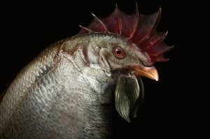 А, ну понятно