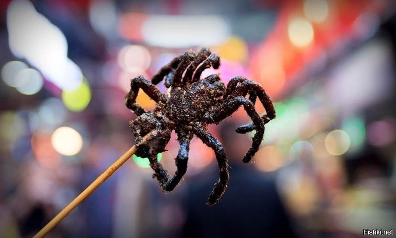 Ну сварить не сваришь, но поджарить то можно