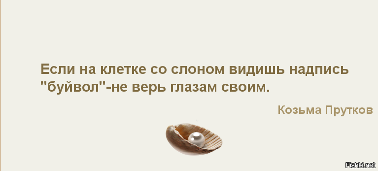 Считать грехи других. Свои грехи вы так усердно рветесь до своих не доберетесь. За радости любовных ощущений однажды острой болью заплатив. За радости любовных ощущений однажды острой. Мы так боимся новых увлечений что носим на душе.