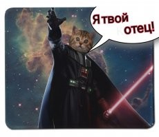 Скрины из соцсетей