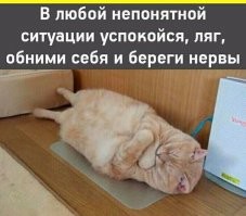 Очередной блок позитива от Ветра Вольного