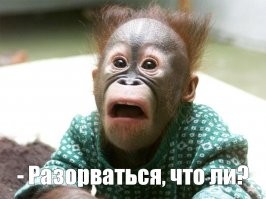 Скрины из соцсетей