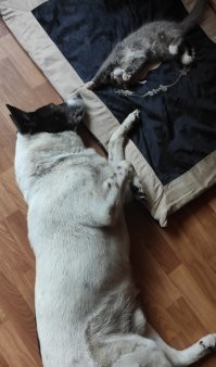 Моя парочка.