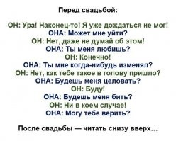 Бабам на заметку. Если ваш рот занят ромашковым чаем, а его руки вашими сиськами, то он не сможет вас ни бить, ни изменять. Чисто технически