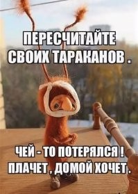 следит, чтобы тараканы не разбежались