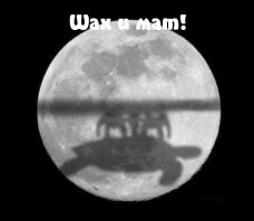 Смешные комментарии из соц.сетей