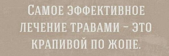 Правда ли, что крапива разжижает кровь?