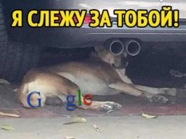 Смешные комментарии из соц.сетей