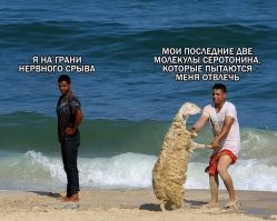 Не на то рассчитывали