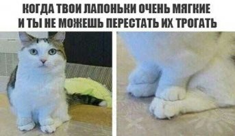 -А теперь пусть выходит позитив, Я сказал- позитив!