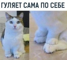 -А теперь пусть выходит позитив, Я сказал- позитив!