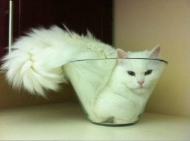 Всё вразнобой