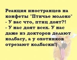 Стереотипы и мифы о разных странах, которые развенчали их жители