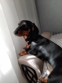 Ожидание у окна