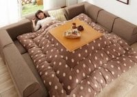 "Котатцу - это традиционный японский столик, совмещенный с одеялом. В такой конструкции можно и спать, и есть, и даже устраивать посиделки с друзьями".

Да тут и полежалки устраивать можно...