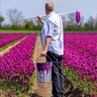 40 забавных фотографий для того, чтобы отвлечься и развлечься