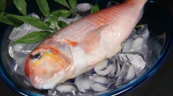 Интересно, насколько ядовита наша барабулька, весьма недешевая рыбка