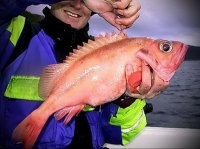 "Хозяйкам на заметку". Морской окунь  на самом деле не семейство окуневые, а скорпеновые