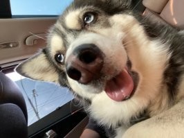 Моя кобылка)