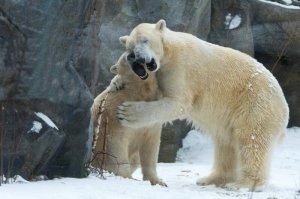 "...только рюмка водки на столе!.."