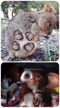 Везде находим позитив