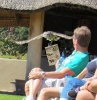 Везде находим позитив