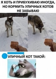 "Мне нужно пощупать"... упоротые шутки о людях с плохим зрением