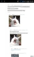 Смешные и познавательные картинки