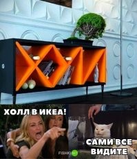 Смешные и познавательные картинки