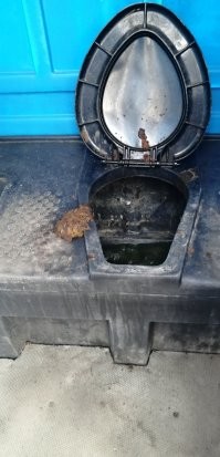 Я недавно такое видел
p.s. город указывать не буду, дабы.......